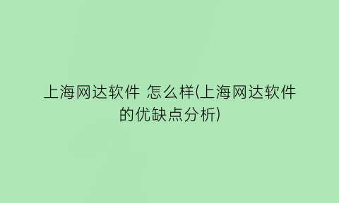 上海网达软件怎么样(上海网达软件的优缺点分析)